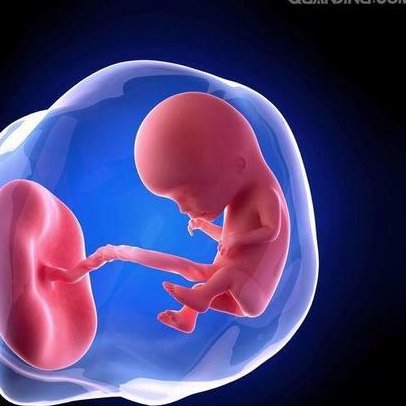 荆州三代试管婴儿三代机构名单 有成功案例吗？