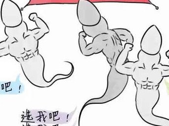 瑞丁GFC试管婴儿一次移植成功的多吗？附三代试管价格明细指南