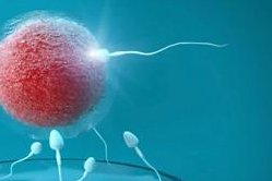 广州珠江医院多少钱三代试管婴儿，广州珠江医院多少钱三代试管婴儿