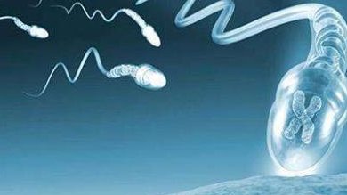 美国助孕试管医院成功率排行榜及对比分析