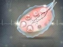 北京可以做试管婴儿的私立医院名单，2026助孕费用和成功率说明