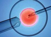 试管婴儿技术如何确定？哪些国家禁止试管婴儿技术挑选胚胎？