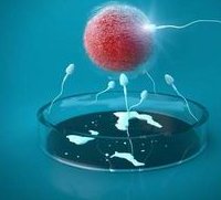 试管移植冻胚第十五天下面鲜血流了一整天是怎么回事呀？