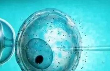 为什么试管婴儿胚胎碎片过多，做试管胚胎有碎片是咋回事