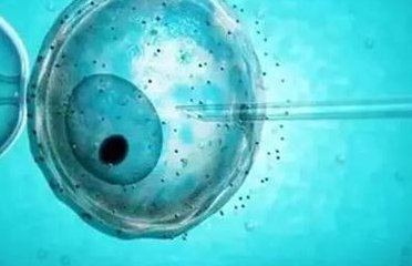 格鲁吉亚试管婴儿全程时间表解析，全面了解所需时长