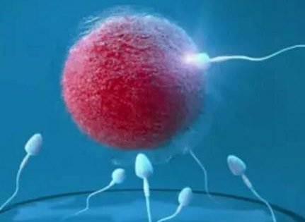 湖南试管婴儿新篇章，开启您的生育希望之光