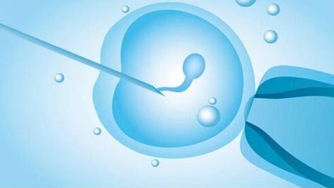 Life生命试管婴儿中心，美国IVF医院高龄试管成功率排名前三