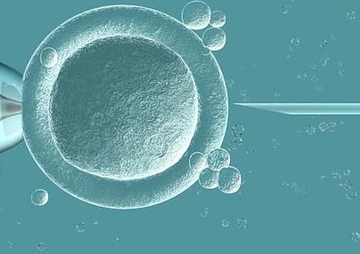 临沂人民医院试管成功率指南，掌握窍门才能顺利怀孕